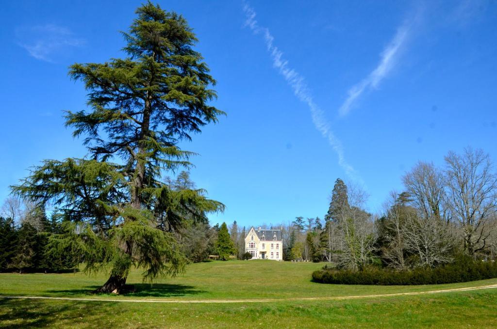 Chateau La Thuiliere Saint-Front-de-Pradoux Exteriér fotografie